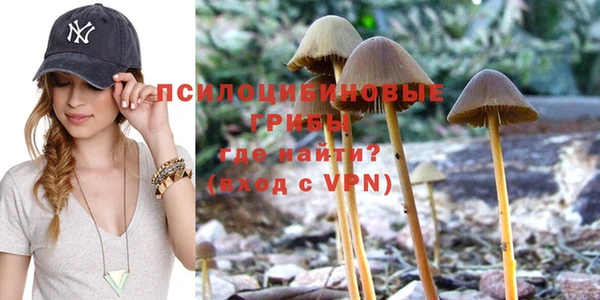 прущие грибы Алексеевка