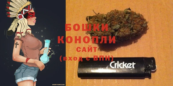 индика Нягань