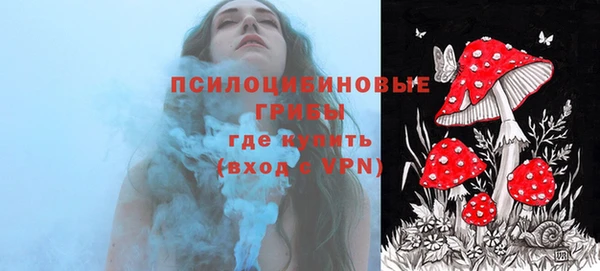 прущие грибы Алексеевка