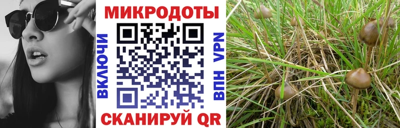 где купить наркоту hydra ссылка Псилоцибиновые грибы Magic Shrooms Пущино